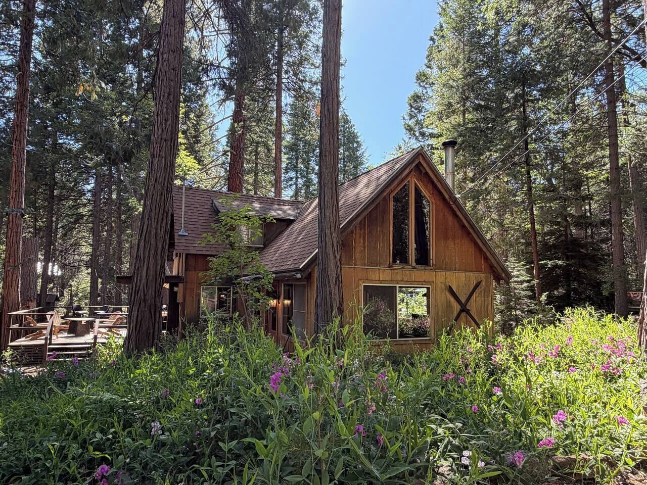 A cabin surrounded by tall trees and dense vegetation.