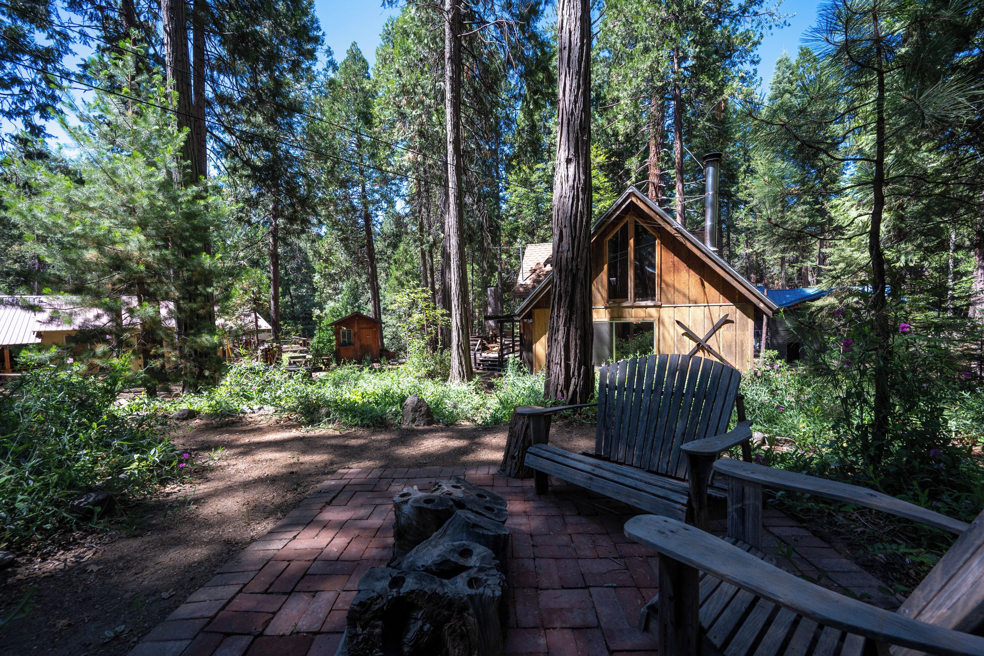 A wooden cabin surrounded by tall pine trees, a paved pathway, and a bench.