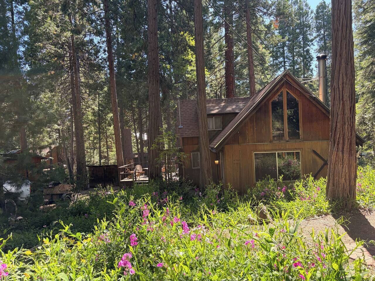 A cabin surrounded by tall trees, with a deck and a clear view of the forest.
