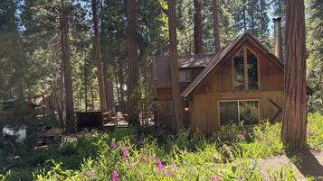 A cabin surrounded by tall trees, with a deck and a clear view of the forest.