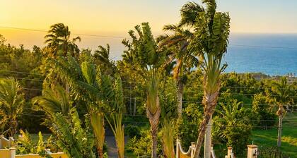 Luxury 5-bed, 5-bath with AC, pool, beach, hot tub, butler, chef, golf, sea view
