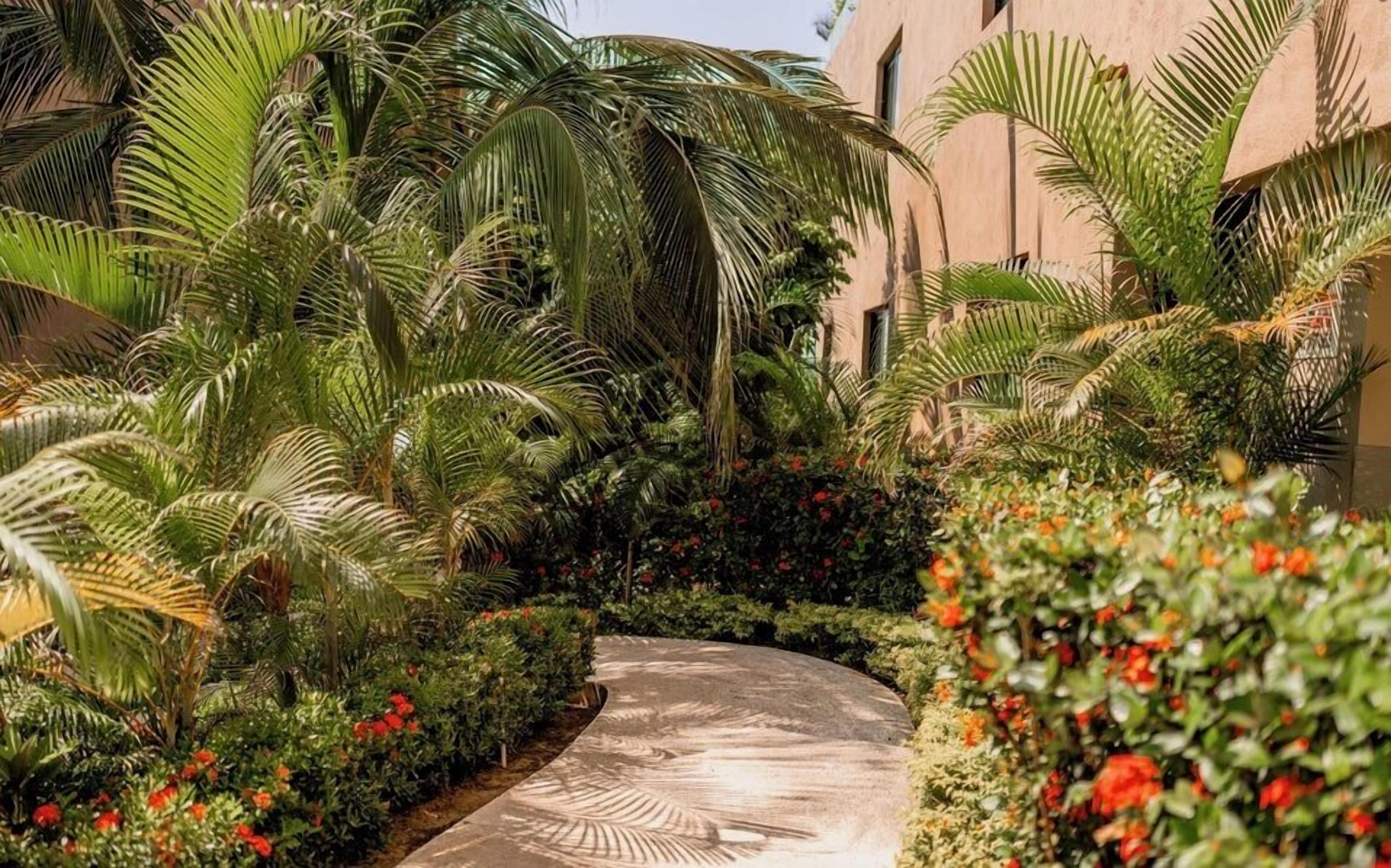 A pathway surrounded by lush greenery and flowering plants, leading to a building with a beige facade.