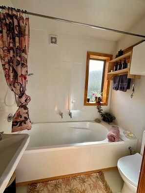 Hair dryer, towels, soap, shampoo - Bang for your buck, Sanctuary, Sea & Starry nights, 5 minutes from Gore Bay! (Domett)