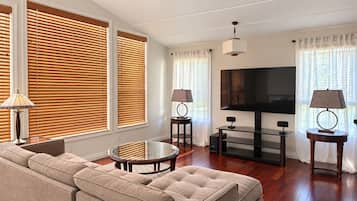 Smart TV, chimenea y libros
