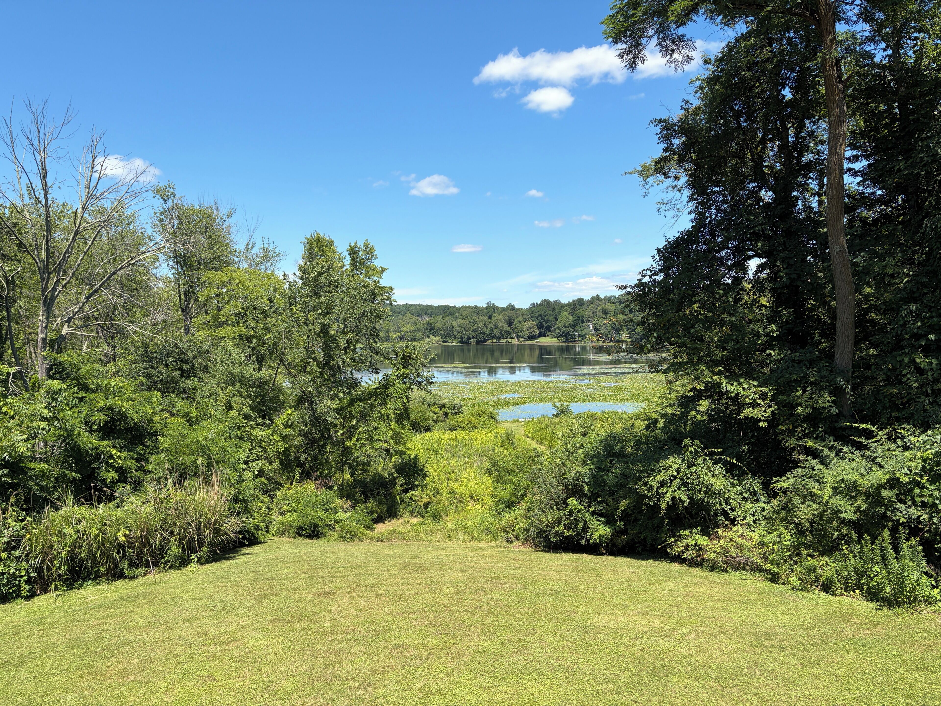 A grassy field with trees and a lake in the background.