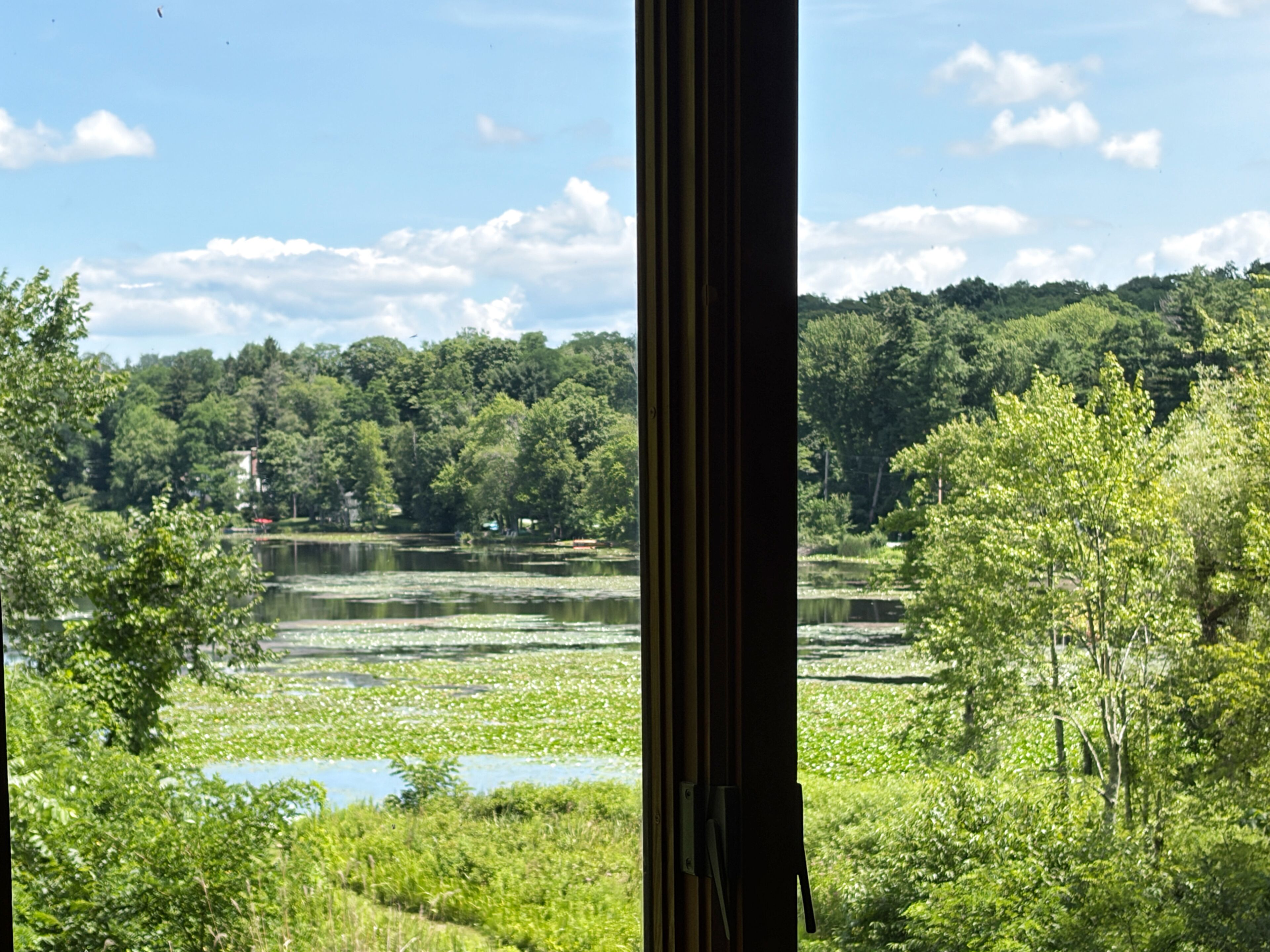 A view through a window of a natural landscape with a lake, trees, and a distant hill.
