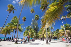 Beach - Oceanfront 1BR Condo with Stunning Beach Views & AC (Luquillo)