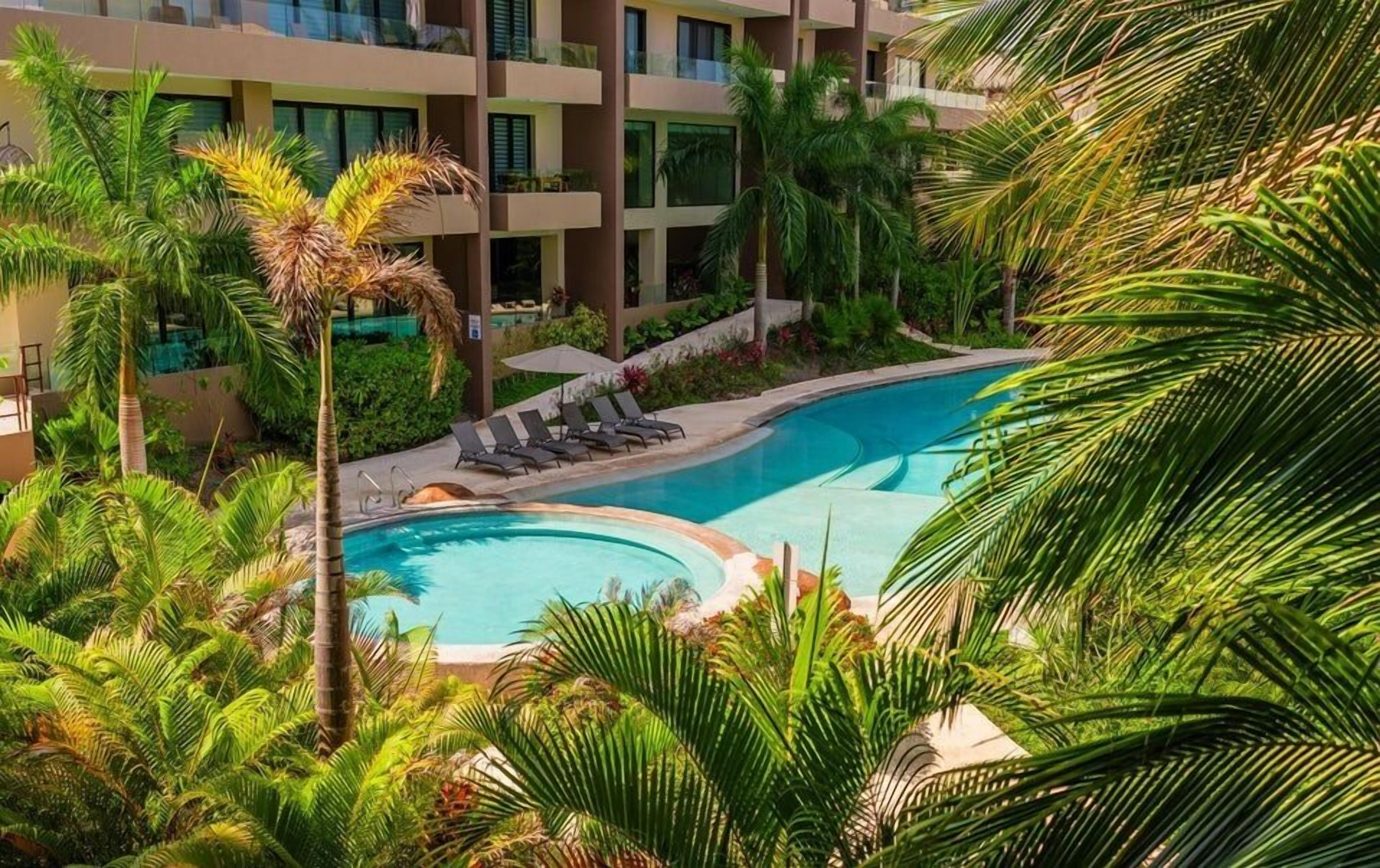 A pool surrounded by palm trees and lounge chairs, with a building in the background.
