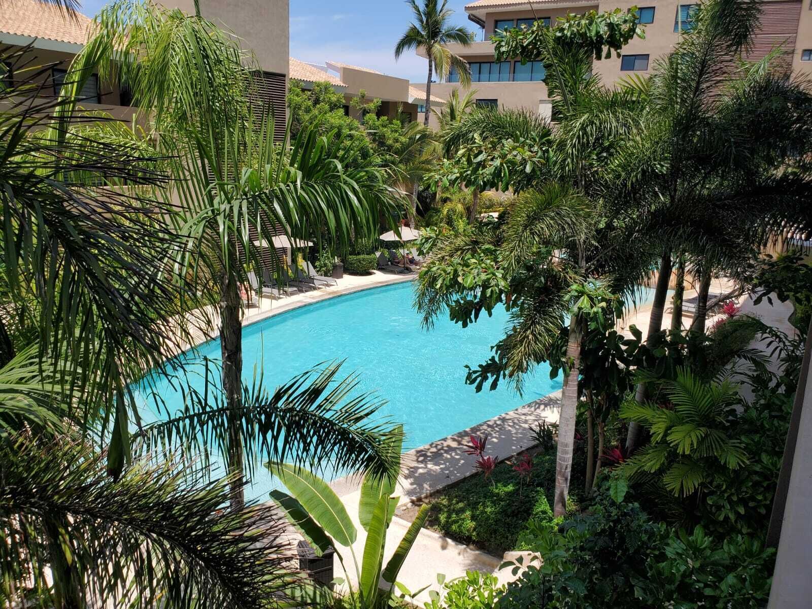 Una piscina rodeada de exuberante vegetación y palmeras, con un edificio al fondo.