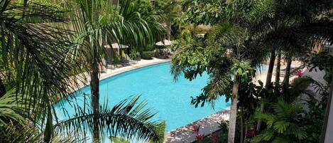 Una piscina rodeada de exuberante vegetación y palmeras, con un edificio al fondo.