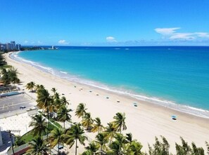 A beach with a clear view of the ocean, palm trees, and a parking area.