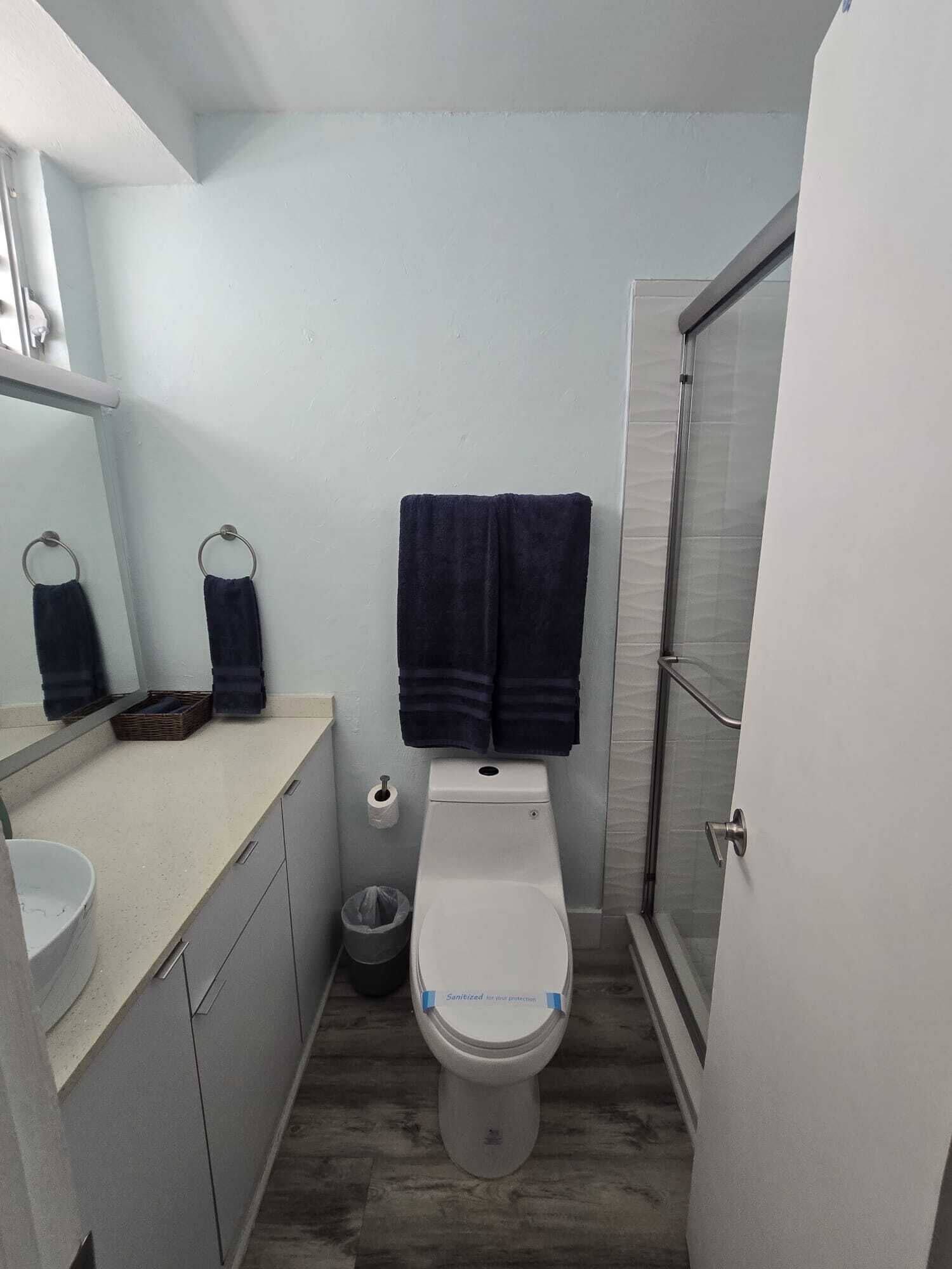 Een kleine badkamer met toilet, wastafel, spiegel en douche.