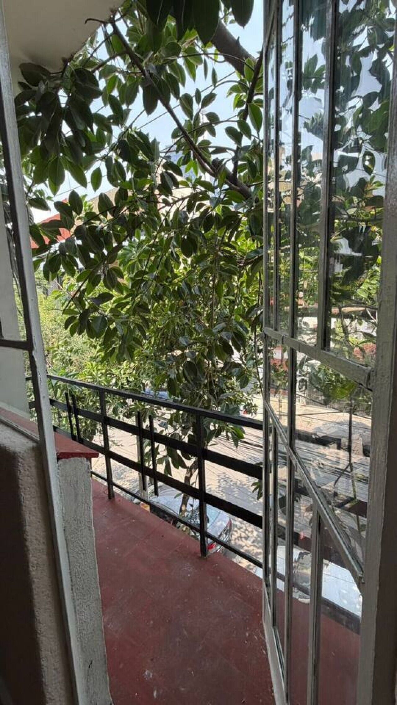 Ein Balkon mit Metallgeländer, einem Blumentopf und Blick auf eine Straße.