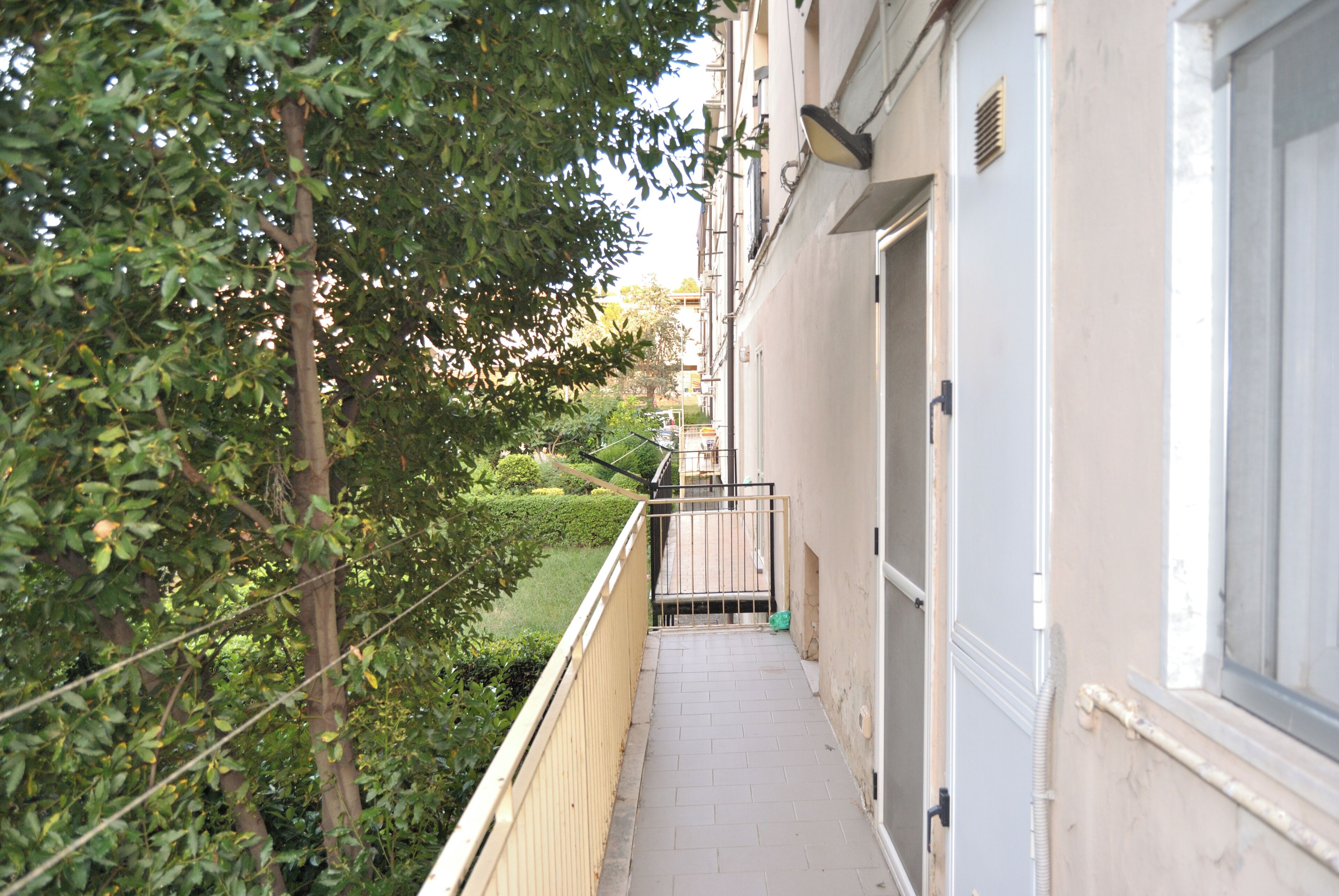 A narrow pathway flanked by greenery and a building with a door and window.