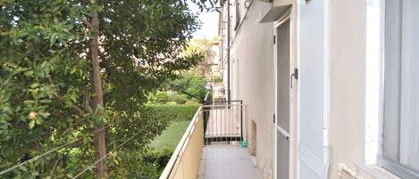 A narrow pathway flanked by greenery and a building with a door and window.