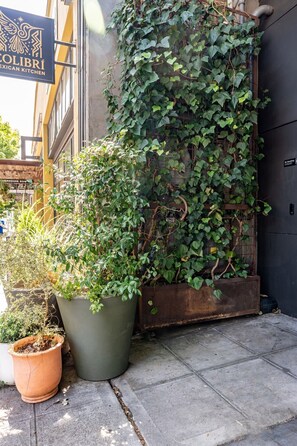 A building with a sign for 'Colibrí Mexican Kitchen' and a wall covered with ivy. There are potted plants on the ground. - Roomy apartment in Capitol Hill Seattle (Seattle)