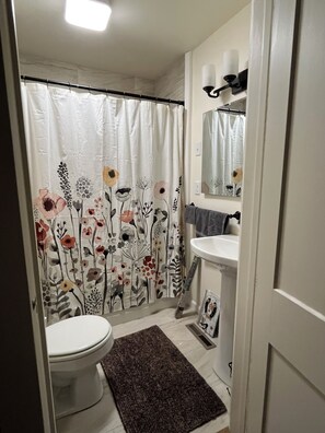 Bathroom - Cute 3-bedroom country cottage in peaceful Pine Valley (Columbus)