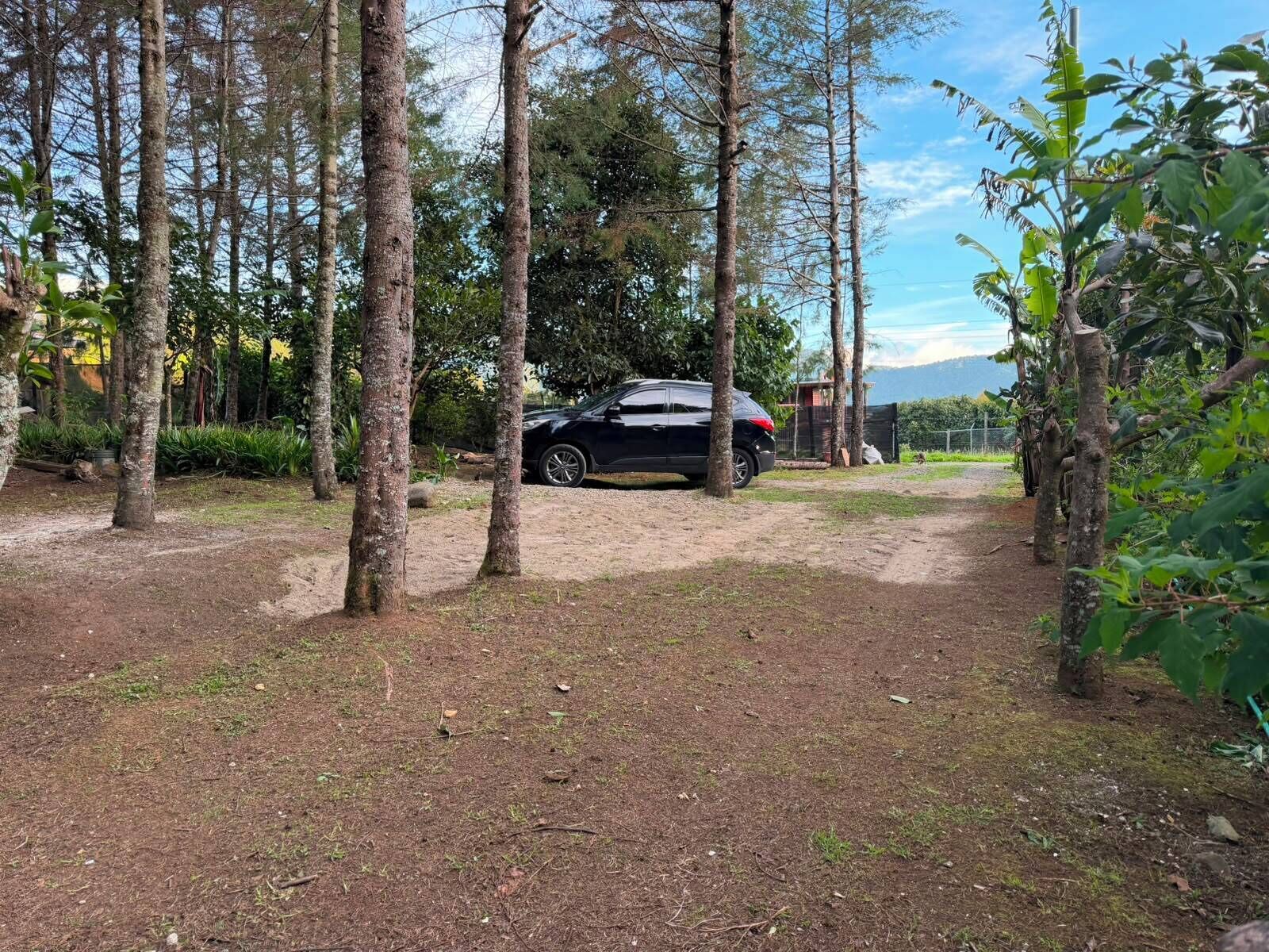 A black car parked in a forested area with a dirt path leading to a building.