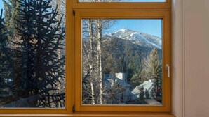 Una finestra con vista su una montagna innevata e alberi.