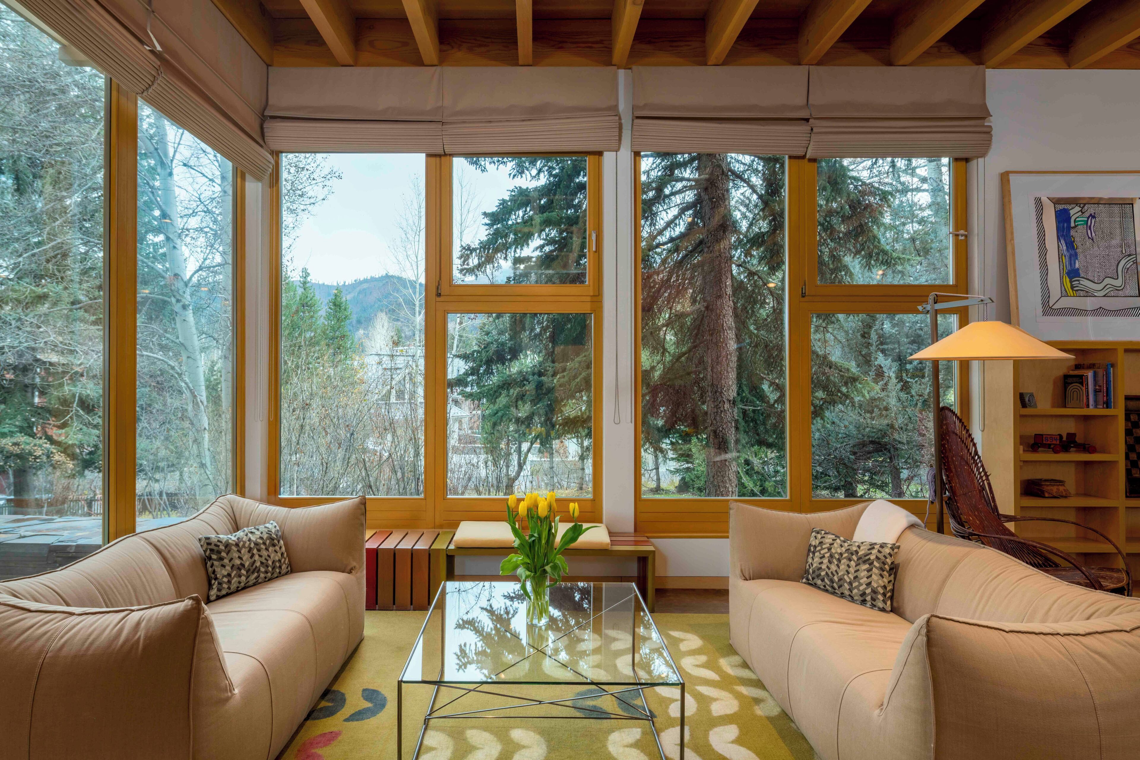 A cozy living room with two sofas, a glass coffee table, and a bookshelf. Large windows offer a view of trees and a mountain.