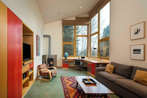 Smart-TV, Kamin, Bücher, Arbeitsbereiche