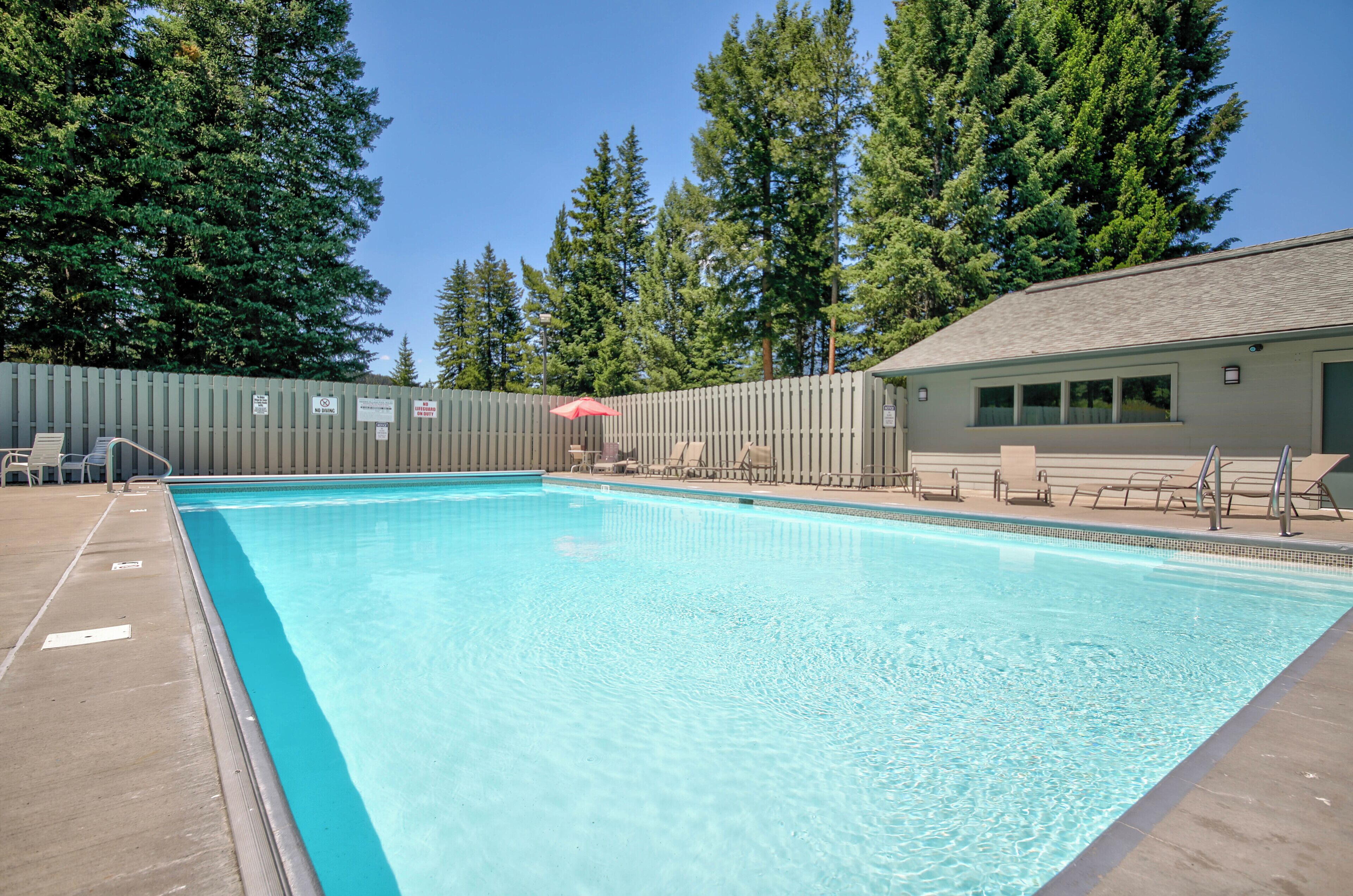 A rectangular swimming pool with clear blue water, surrounded by a wooden fence and trees.