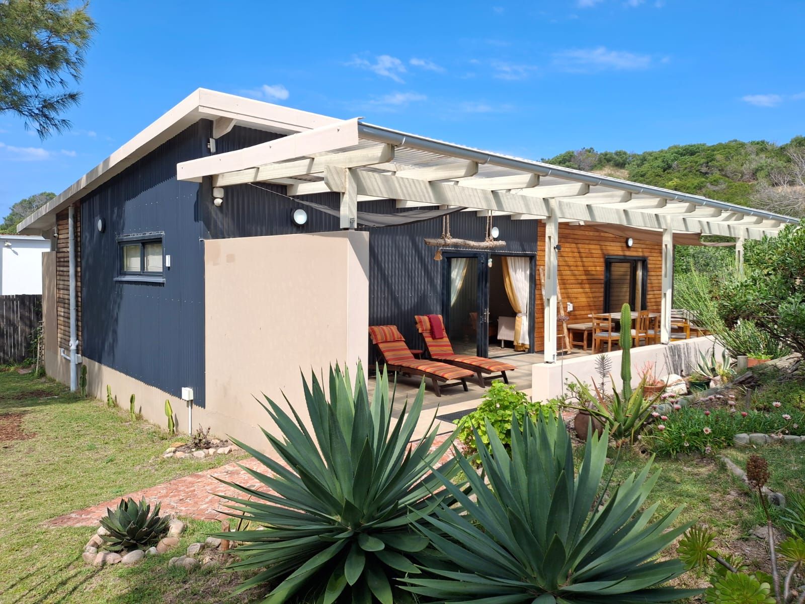 A modern house with a covered patio, a pool, and a garden with large plants.