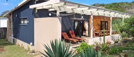 A modern house with a covered patio, a pool, and a garden with large plants.