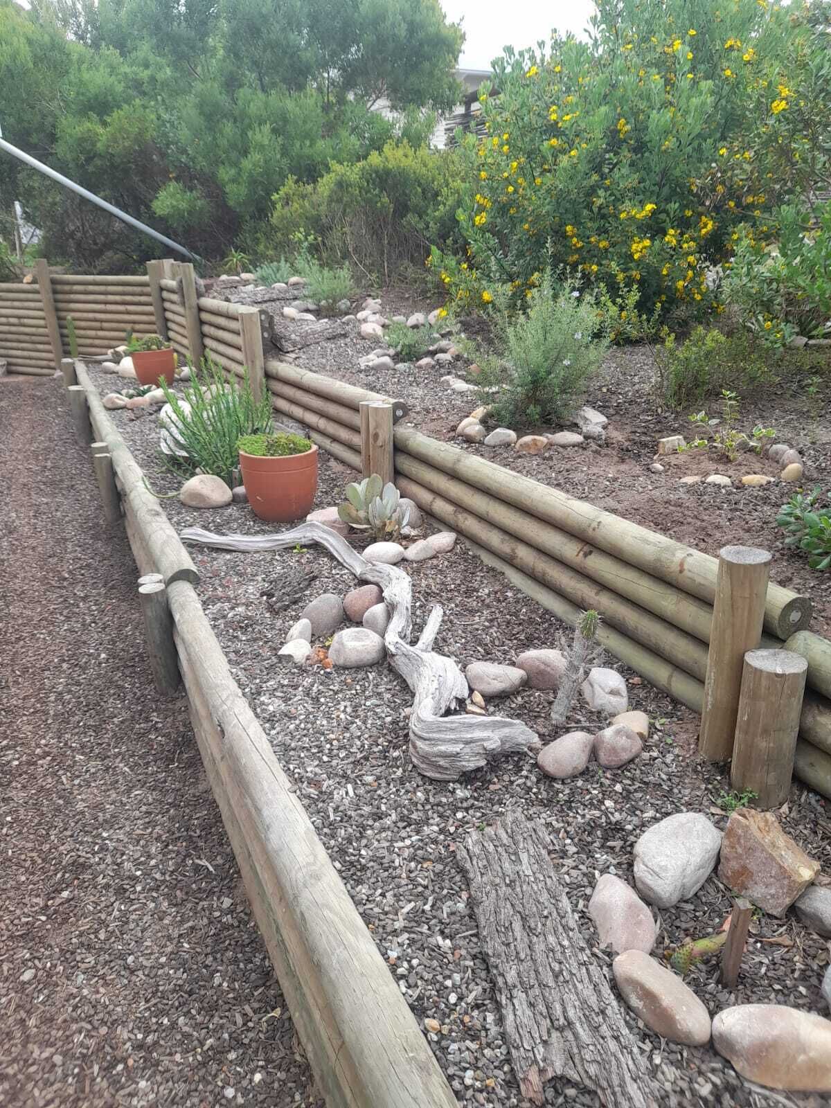 A garden with a wooden fence, potted plants, and a variety of shrubs.