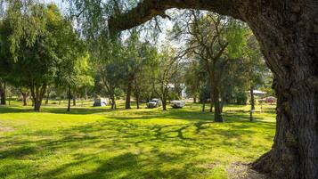 Un parc avec des arbres, de l’herbe et une tente blanche.