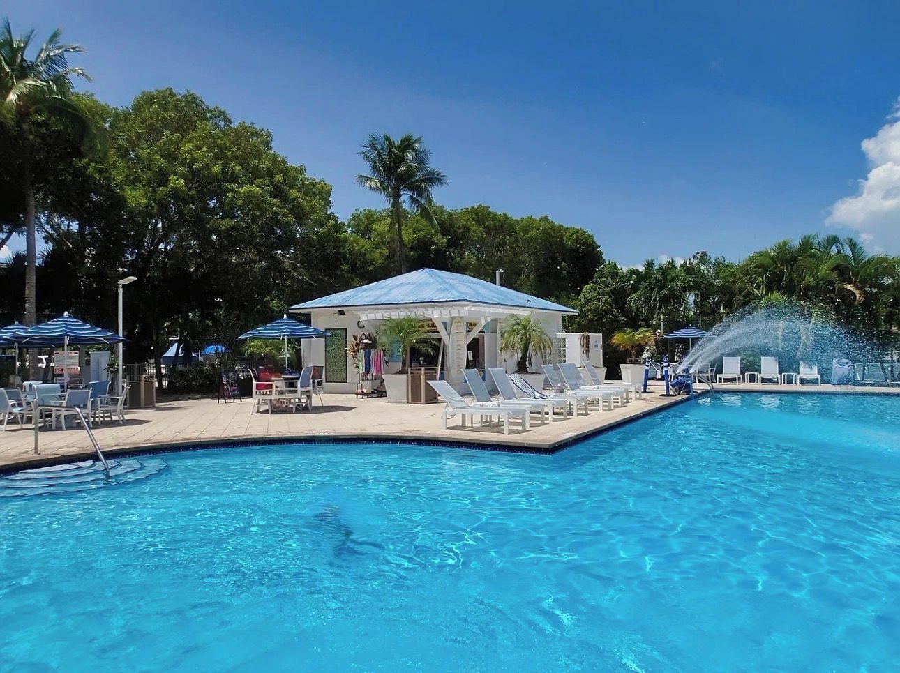 A swimming pool with lounge chairs and umbrellas, surrounded by trees.
