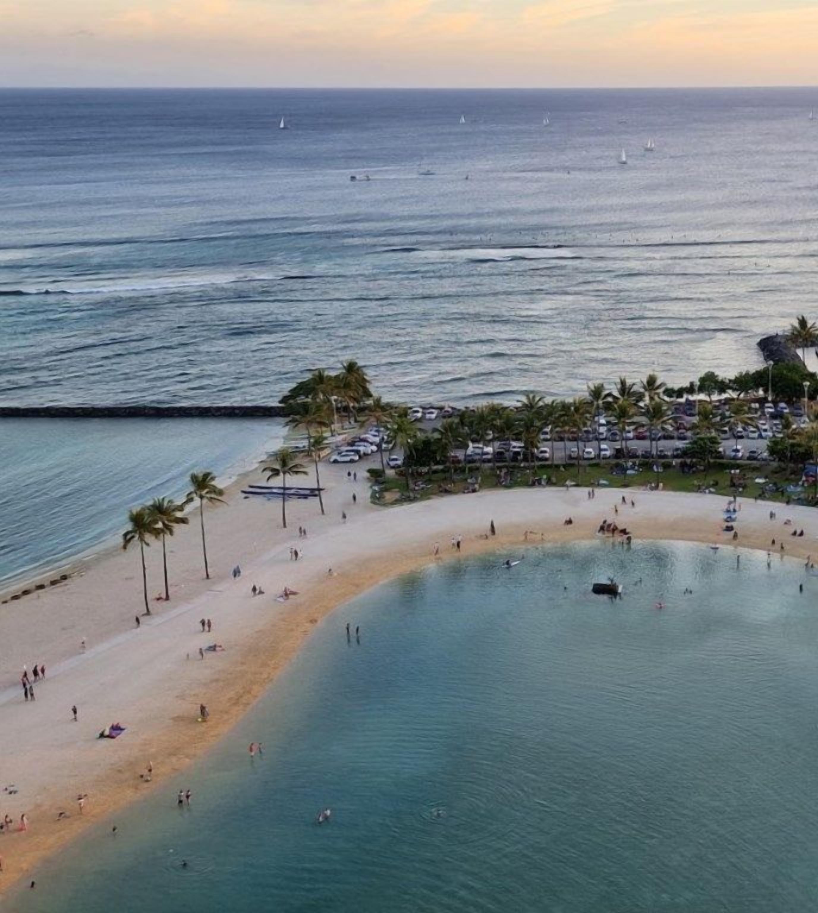 A beach with palm trees, a sandy shore, and a calm sea.
