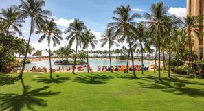 Un complexe hôtelier doté d’une piscine, de palmiers et offrant une vue sur la plage.