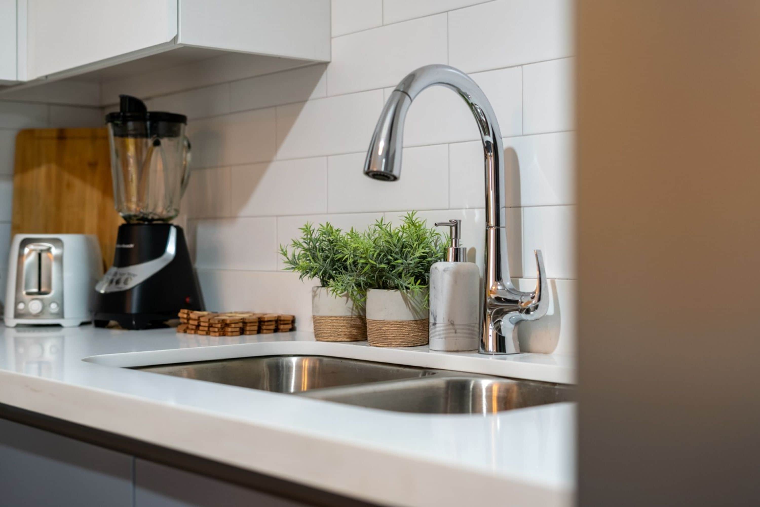 A kitchen with a stainless steel sink, a toaster, a blender, and two potted plants on the counter.