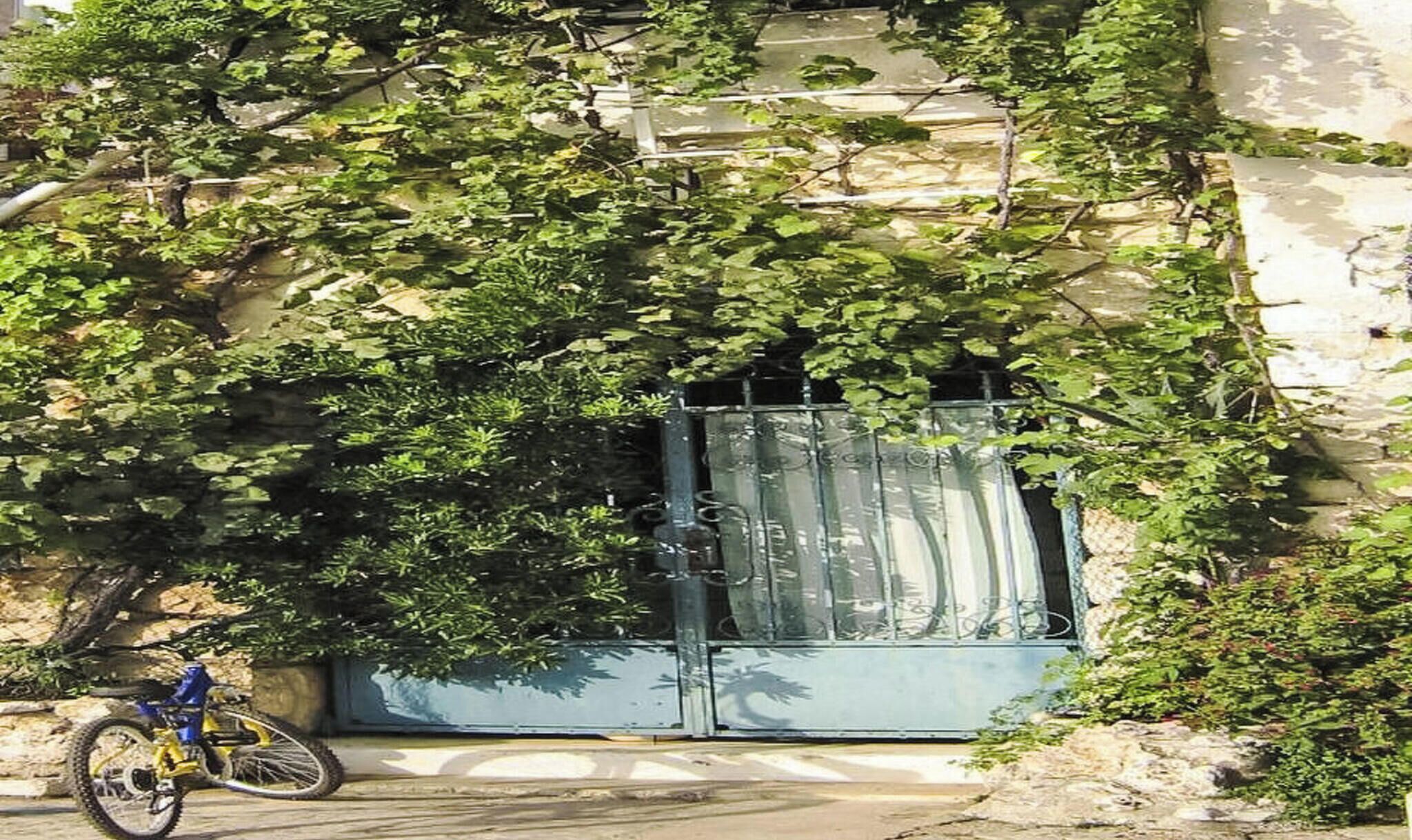 Un immeuble doté d’une entrée fermée par un portail, un vélo garé devant et un arbre au feuillage dense.