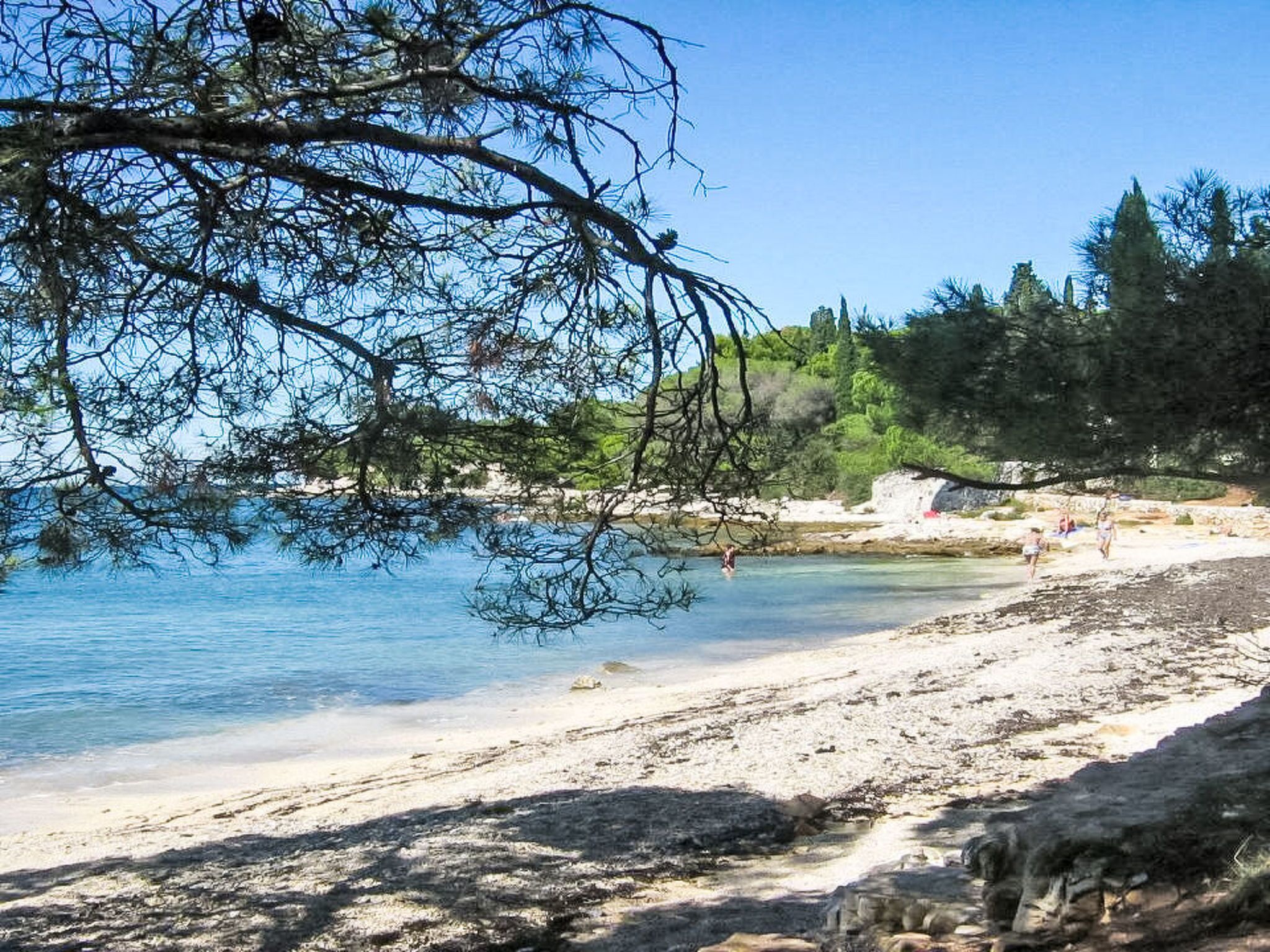 A beach with clear water, sandy shore, and trees in the background.