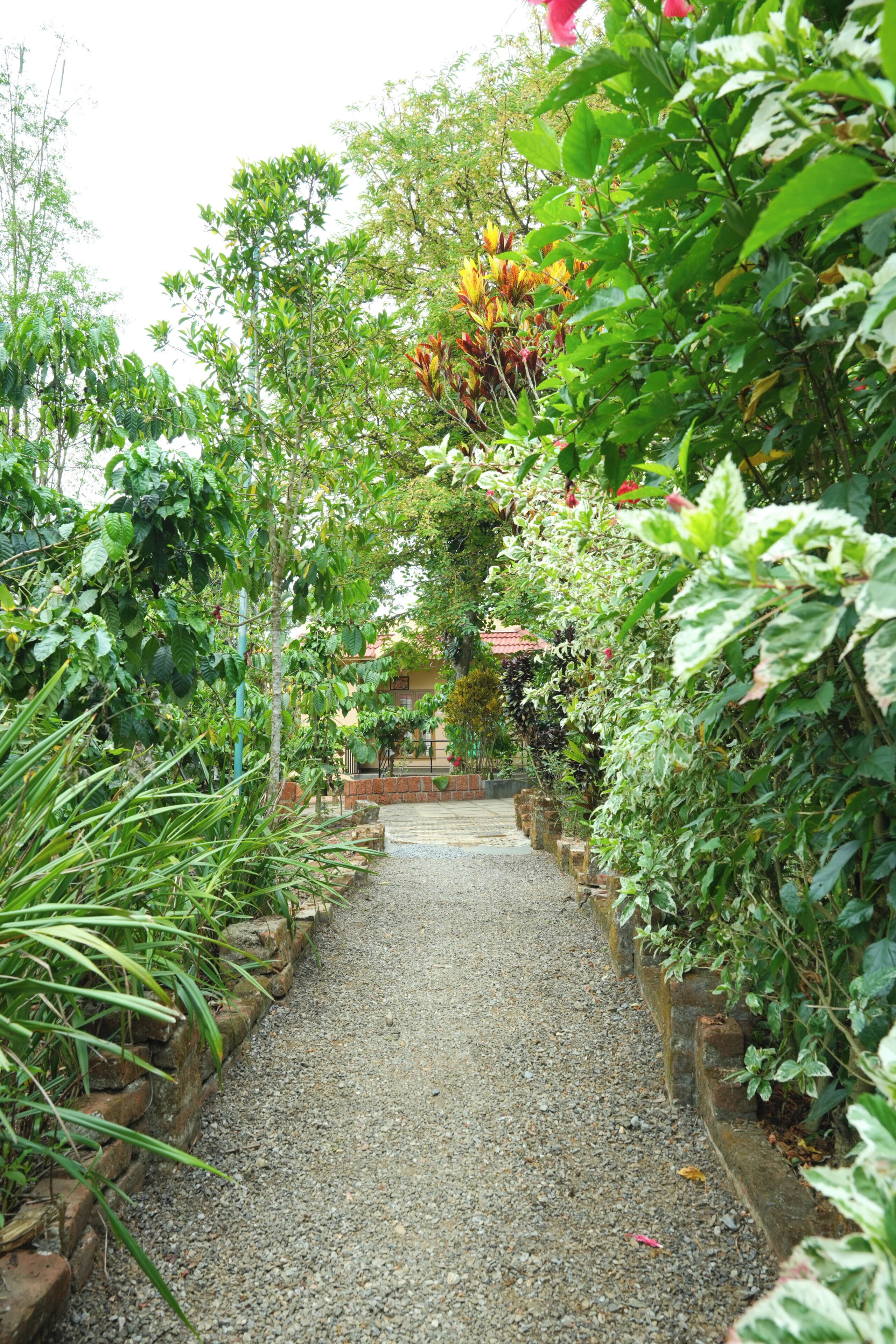 A gravel pathway flanked by lush greenery and brick walls.