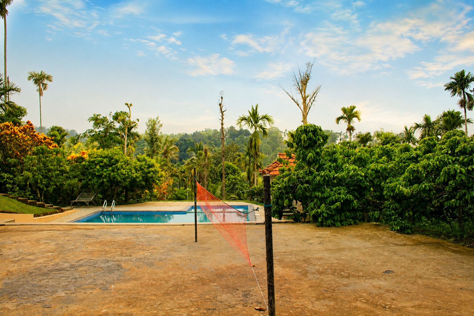 A swimming pool with a netted area, surrounded by lush greenery and palm trees.