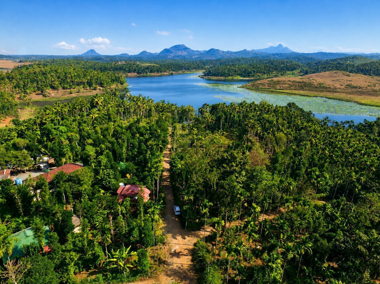 Paisatge tropical amb una vista clara d'un llac, envoltat de vegetació densa i alguns edificis.