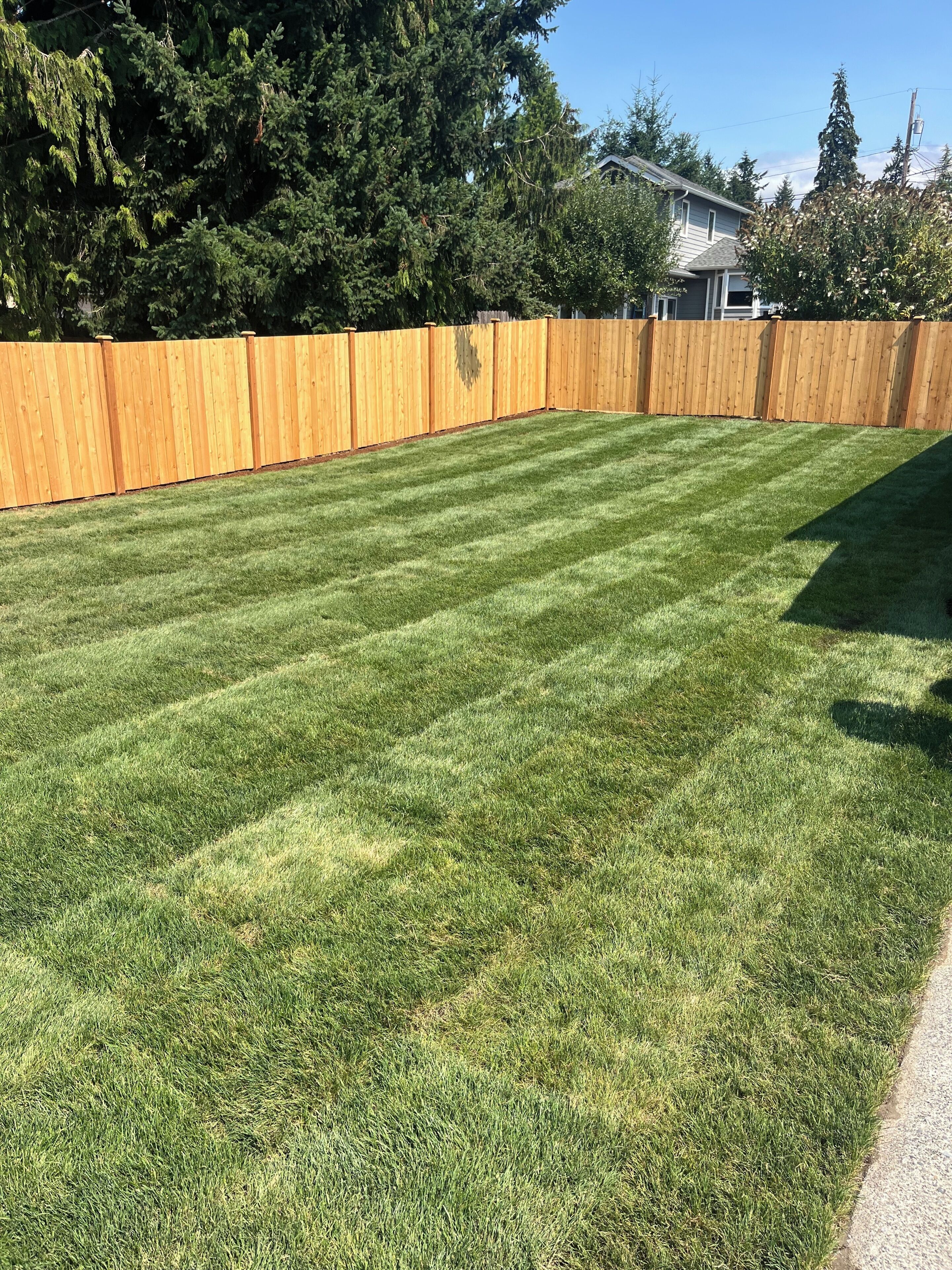 A well-maintained grassy yard with a wooden fence, surrounded by trees and a house in the background.