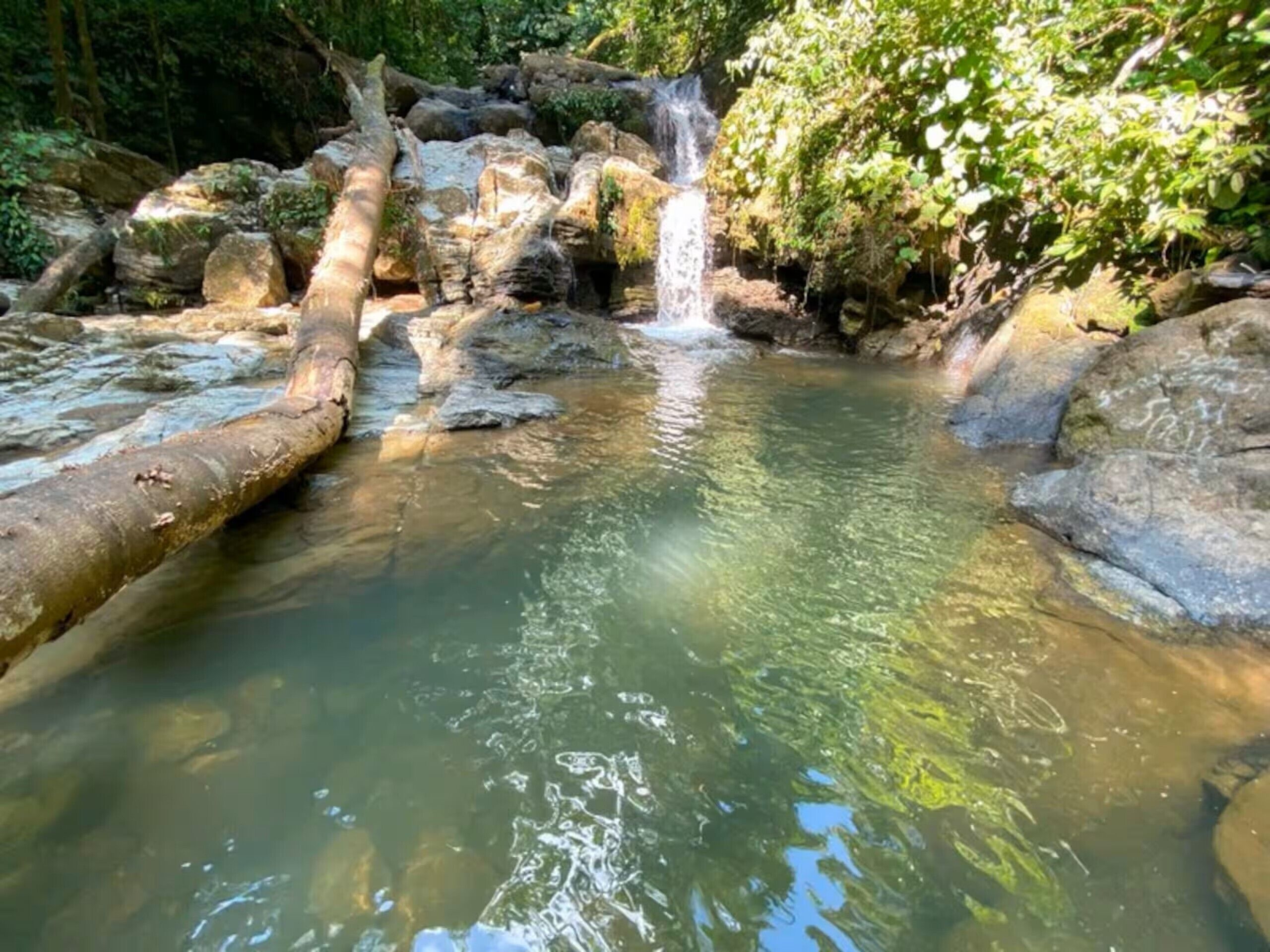 A natural water feature with a waterfall, surrounded by rocks and vegetation.