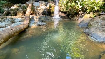 A natural water feature with a waterfall, surrounded by rocks and vegetation.