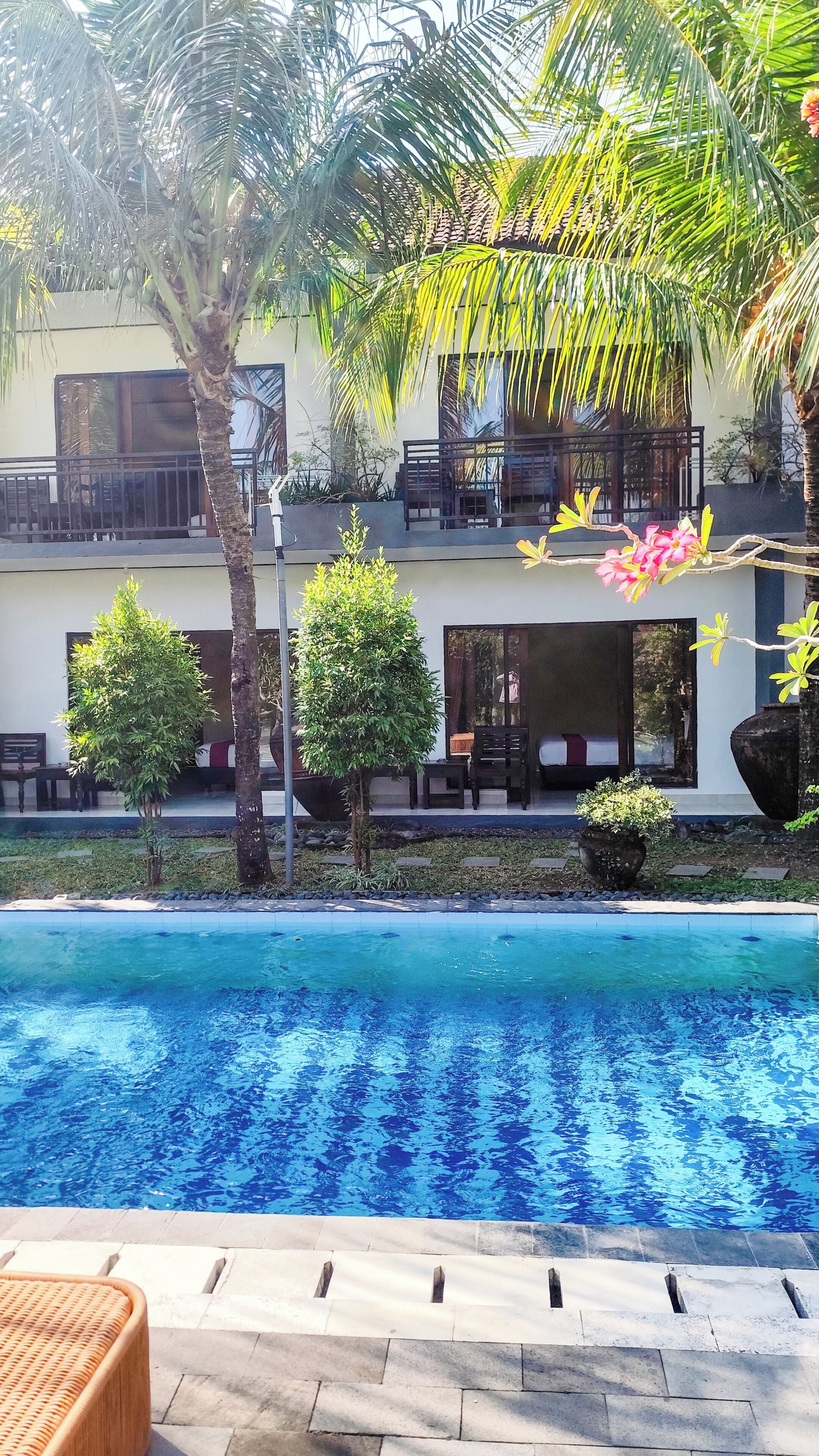 A swimming pool with clear blue water, surrounded by a landscaped area with palm trees and a modern building with balconies.