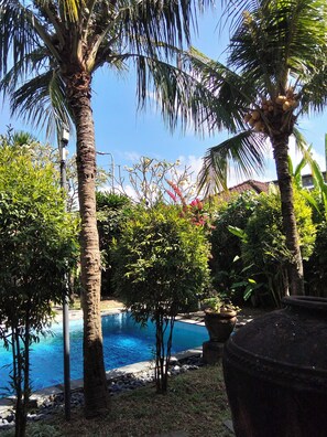 A swimming pool surrounded by palm trees and various plants.