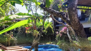 A swimming pool surrounded by lush greenery and a tree with a visible hose.