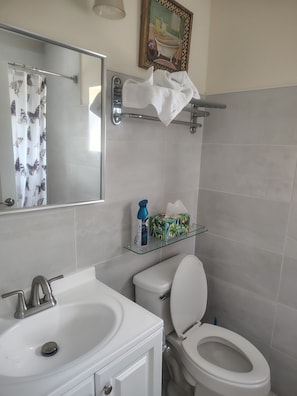 Secador de cabelo, toalhas de banho, sabonete, papel higiênico