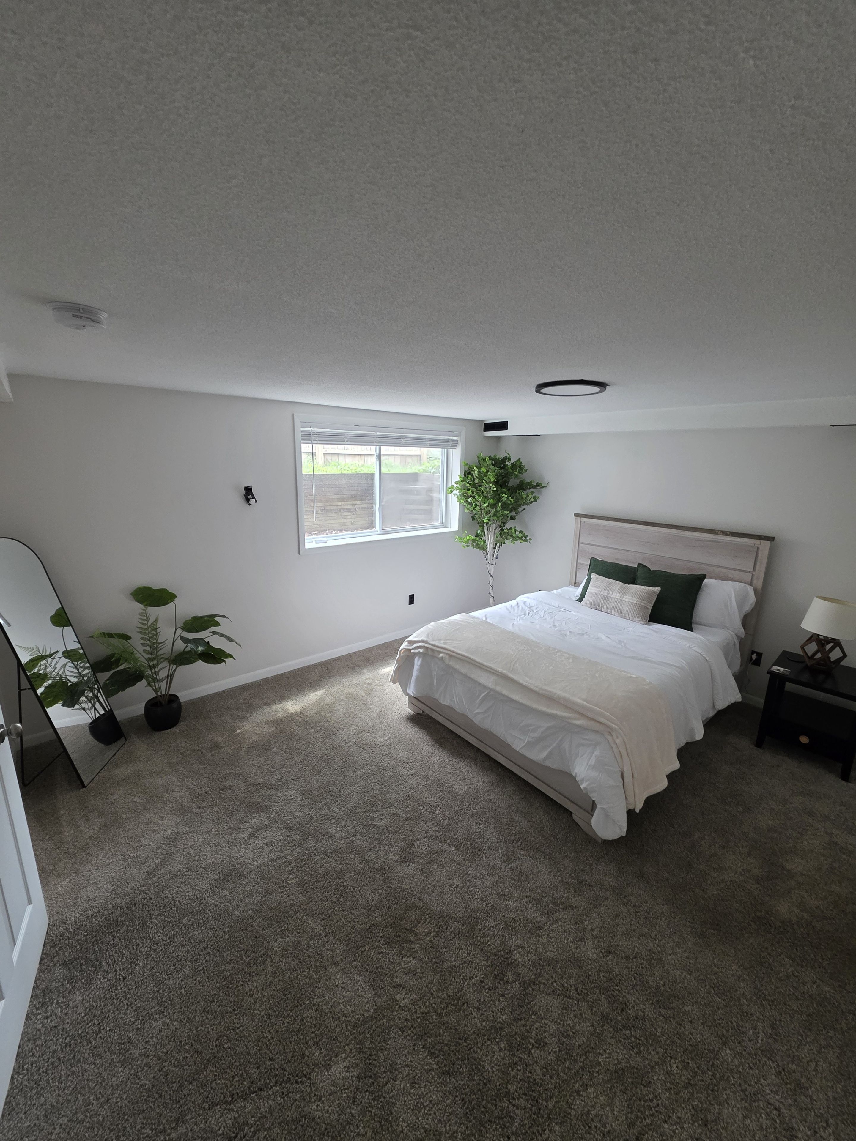 A bedroom with a bed, a window, a plant, and a nightstand.