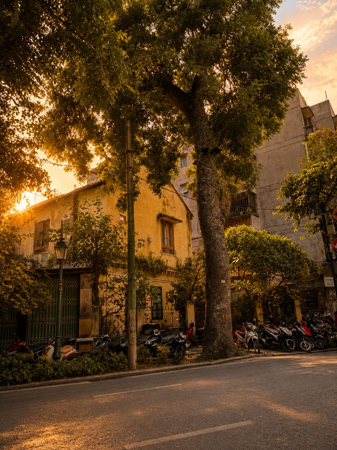 Escena urbana amb motocicletes aparcades, arbres i edificis.