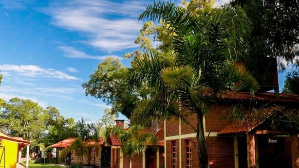 A courtyard with a brick building, a palm tree, and a small garden.