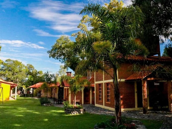 A courtyard with a brick building, a palm tree, and a small garden.